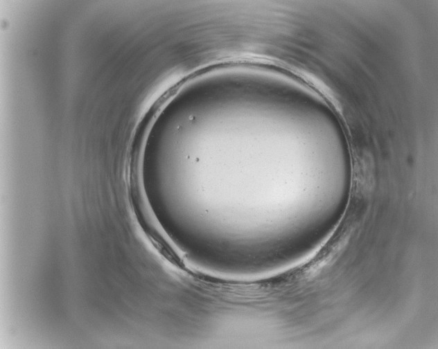 X0000060261007200511010908