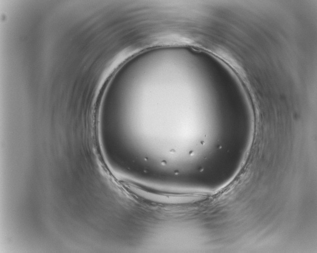 X0000060261008200511010908