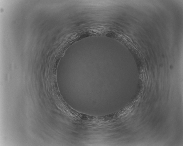 X0000060261009200511010907