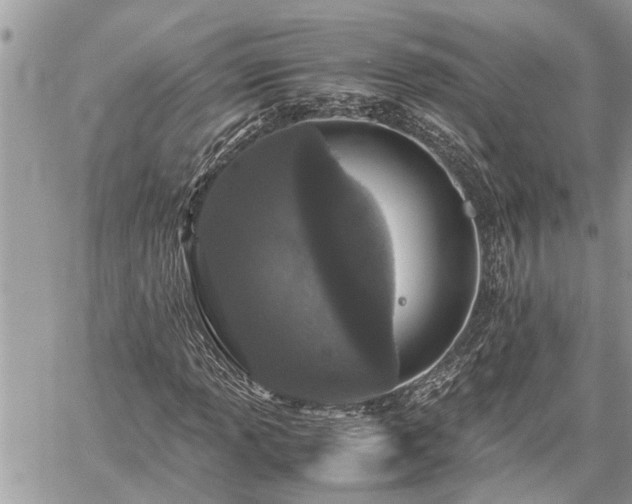 X0000060261013200511010907