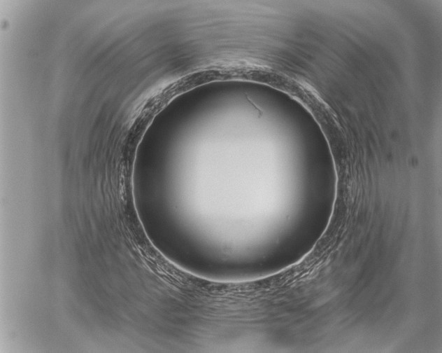 X0000060261016200511010907