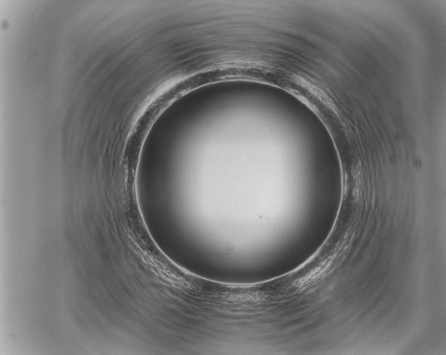 X0000060261021200511010907