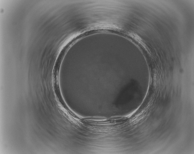 X0000060261024200511010907