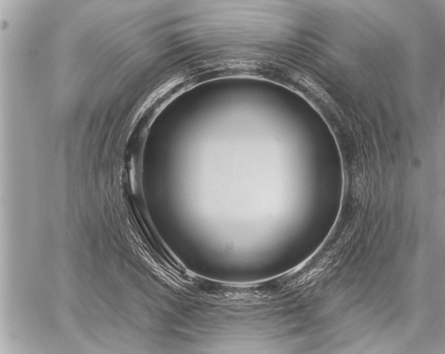 X0000060261026200511010907