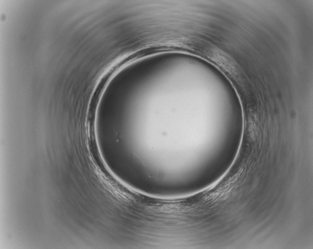 X0000060261028200511010907