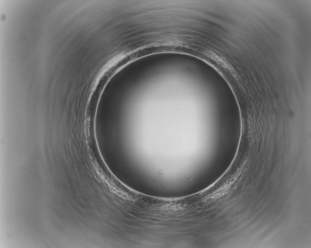 X0000060261029200511010907