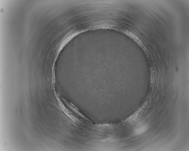 X0000060261031200511010907