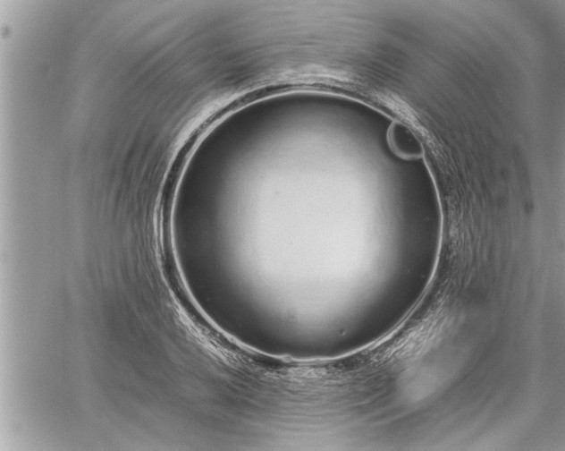 X0000060261032200511010907