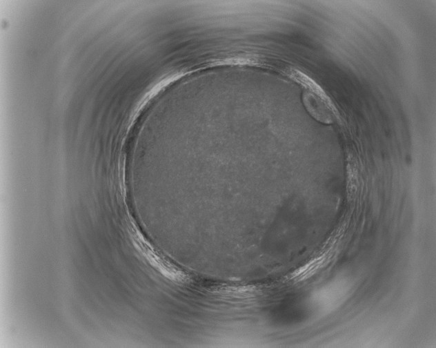 X0000060261035200511010907