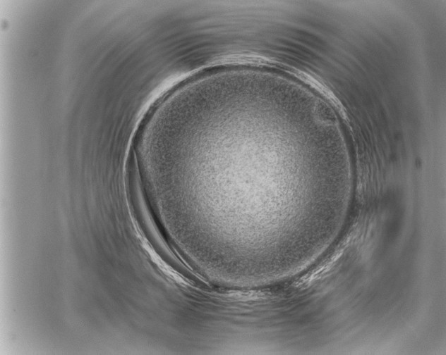 X0000060261037200511010908