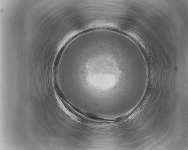 X0000060261038200511010908