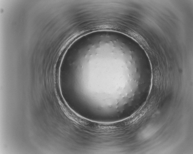 X0000060261039200511010908