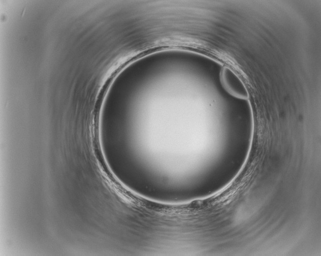 X0000060261040200511010908