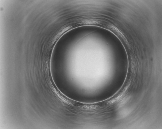 X0000060261041200511010908