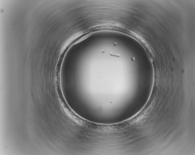 X0000060261042200511010908