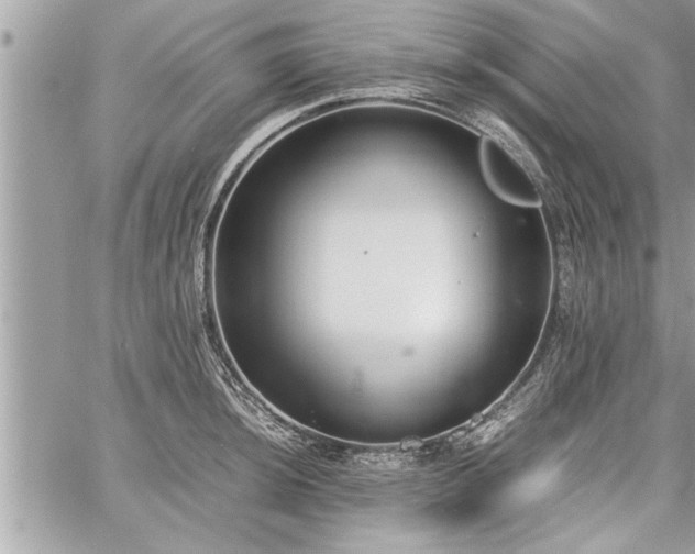 X0000060261044200511010908