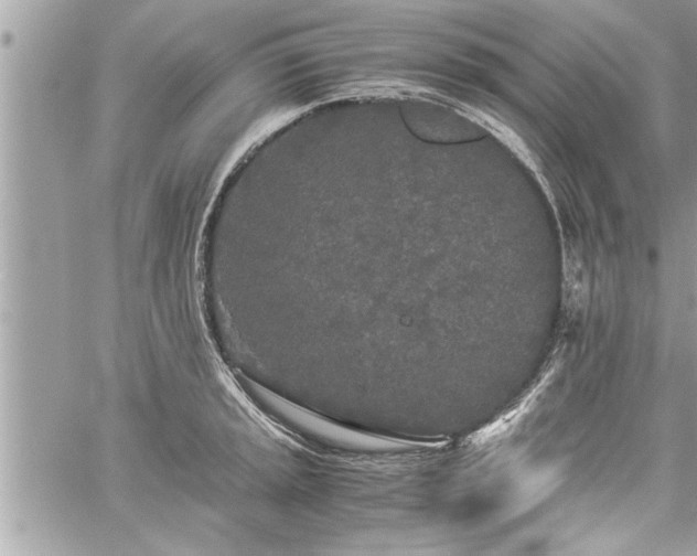 X0000060261045200511010908