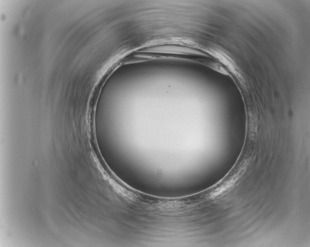 X0000060261046200511010908