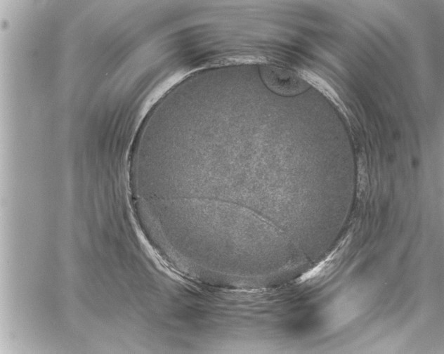 X0000060261047200511010908