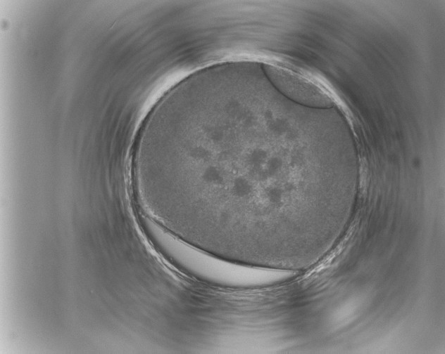 X0000060261048200511010908