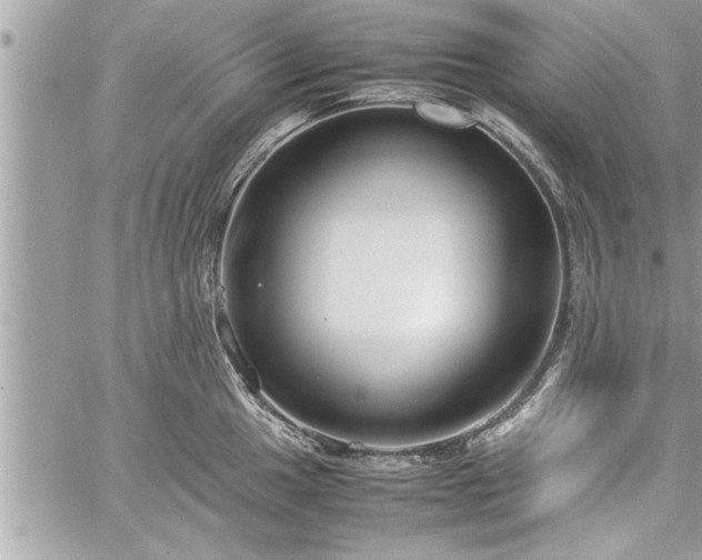 X0000060261049200511010908