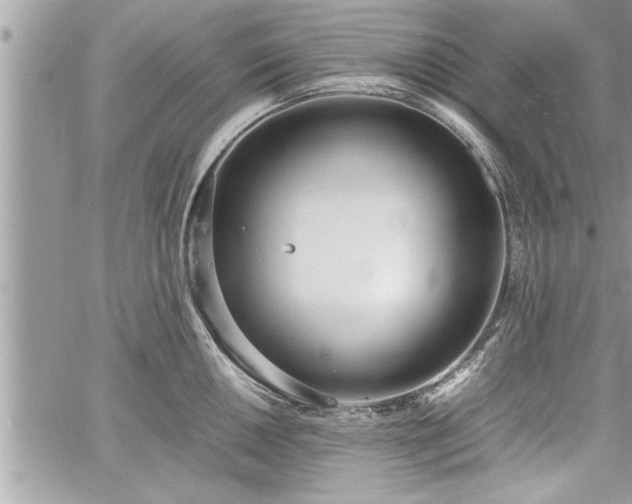 X0000060261050200511010908