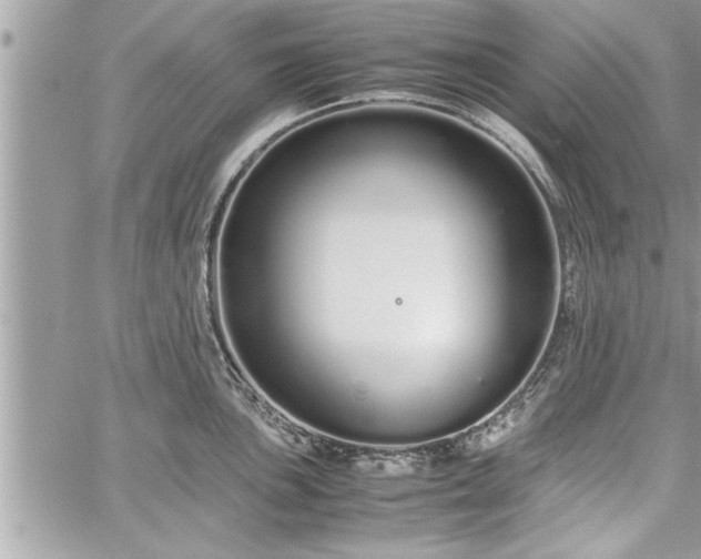 X0000060261051200511010908