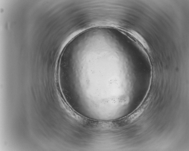 X0000060261052200511010908