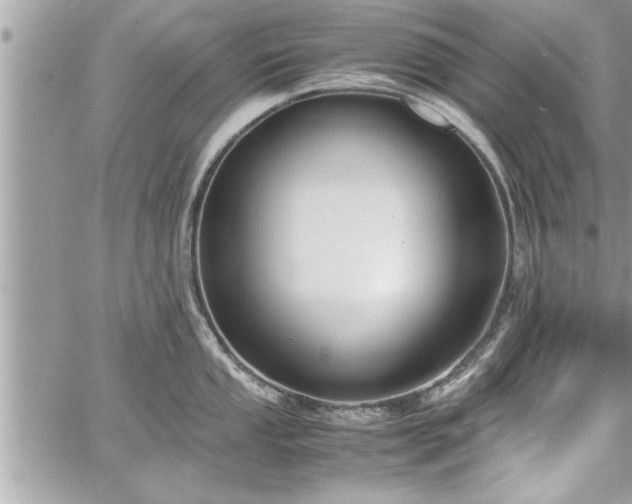 X0000060261053200511010908