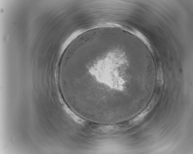 X0000060261054200511010908