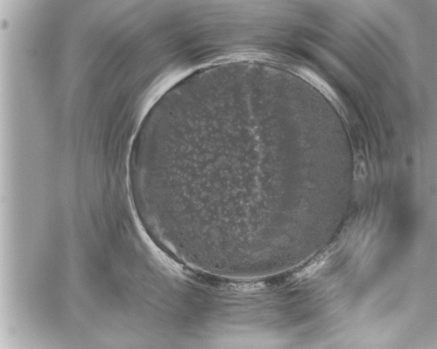 X0000060261055200511010908