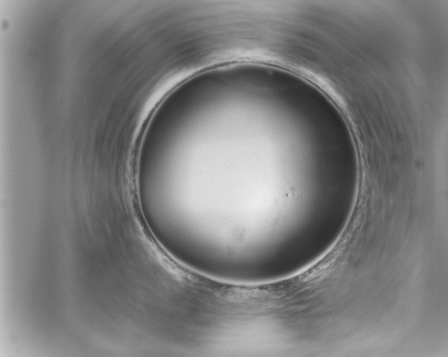 X0000060261056200511010908