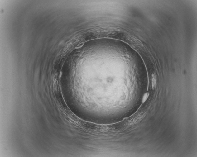 X0000060261059200511010907