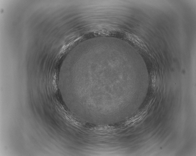 X0000060261060200511010907