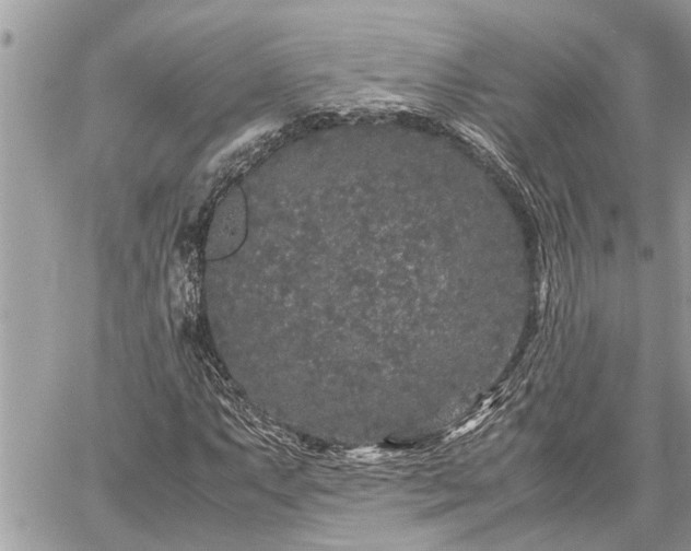 X0000060261063200511010907