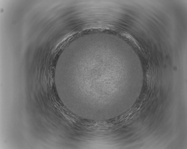 X0000060261064200511010907