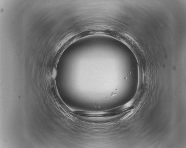 X0000060261065200511010907