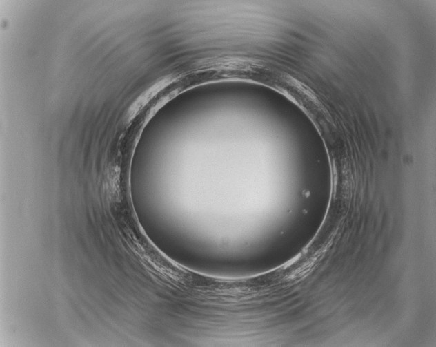 X0000060261066200511010907