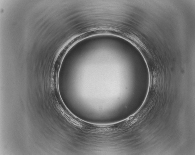 X0000060261068200511010907