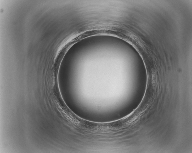 X0000060261069200511010907