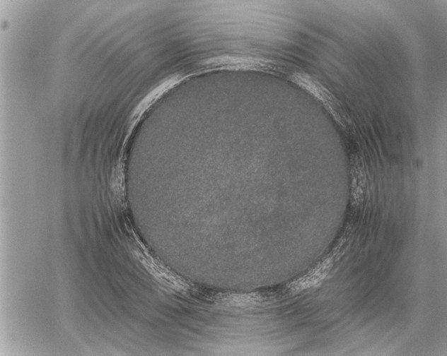 X0000060261074200511010907