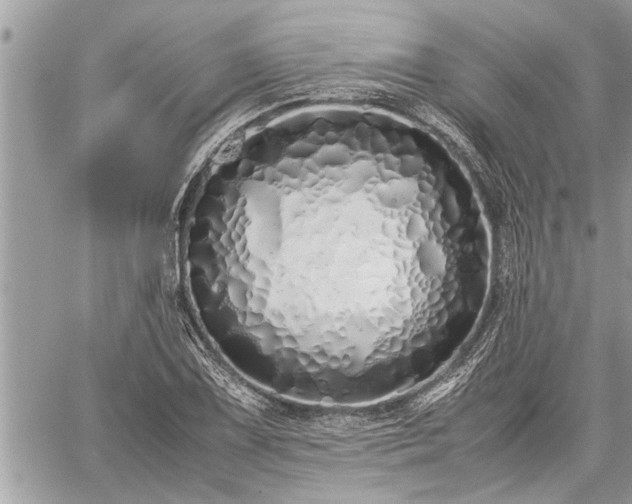 X0000060261075200511010907