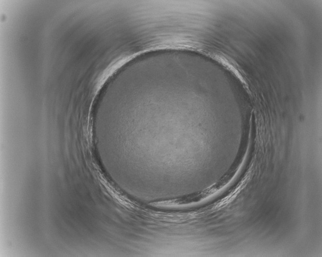 X0000060261077200511010907