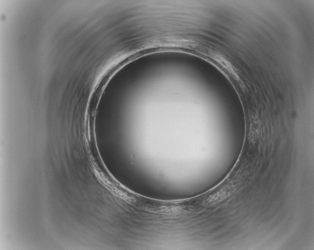 X0000060261080200511010907