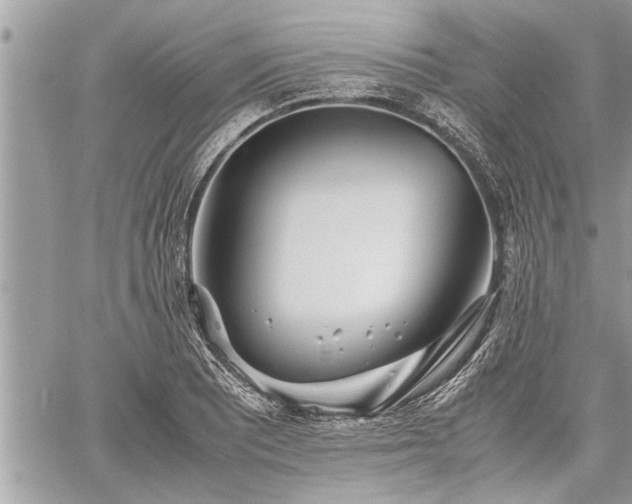 X0000060261081200511010907