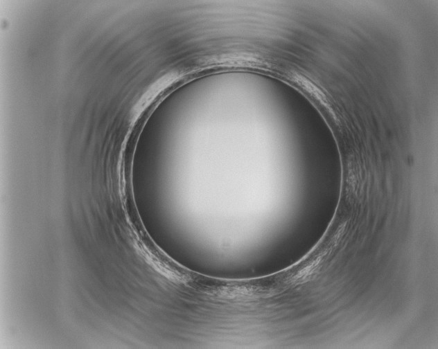 X0000060261082200511010907