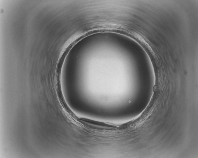 X0000060261085200511010907