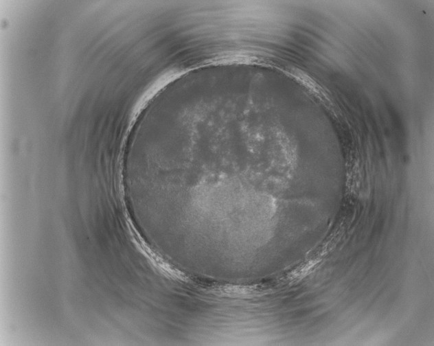 X0000060261086200511010907