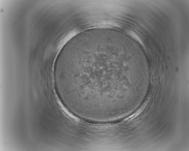 X0000060261087200511010907