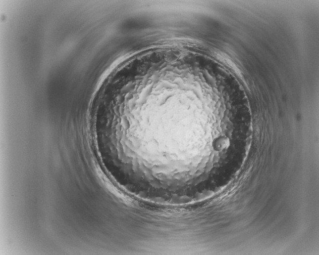 X0000060261091200511010906